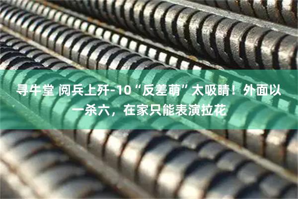 寻牛堂 阅兵上歼-10“反差萌”太吸睛！外面以一杀六，在家只能表演拉花