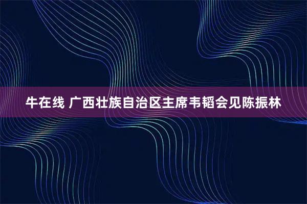 牛在线 广西壮族自治区主席韦韬会见陈振林