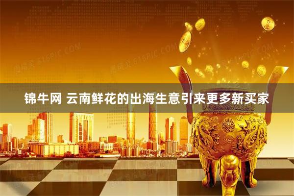 锦牛网 云南鲜花的出海生意引来更多新买家