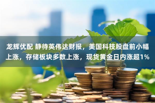 龙辉优配 静待英伟达财报，美国科技股盘前小幅上涨，存储板块多数上涨，现货黄金日内涨超1%