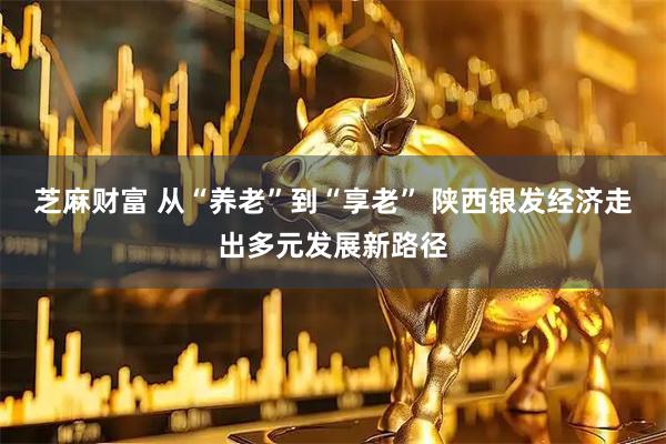 芝麻财富 从“养老”到“享老” 陕西银发经济走出多元发展新路径
